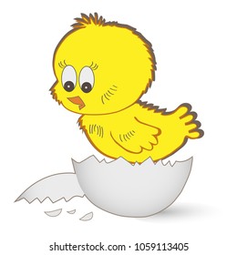 Easter chicken, chicken