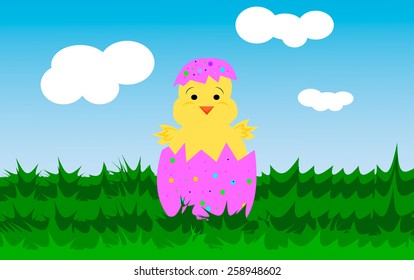 Easter Chicken