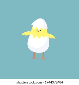 Easter chicken in eggshell on isolated blue background.Vector illustration.