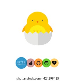 Easter chicken hatching off egg flat icon