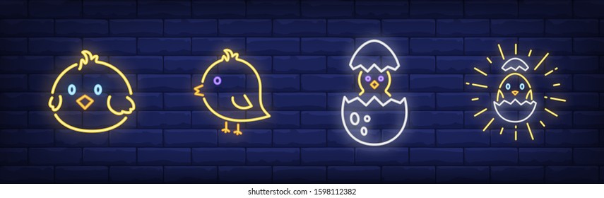 Easter chicken neon sign set. Baby bird, egg shell, symbol. Vector illustration in neon style, bright banner for topics like tradition, spring, celebration