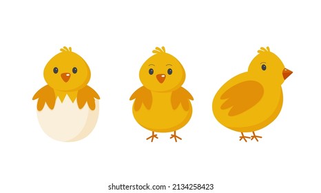 Easter chickens cartoon style on a white background Eps 10