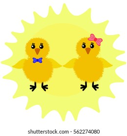 Easter chickens with the sun