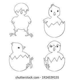 Easter chicks - hand drawn linear black and white vector illustration.