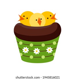 Easter chocolate cupcake with chicks in nest isolated on white background. Cake sweets food muffin and nest with yellow bird. Flat design caratoon style home made dessert vector illustration.