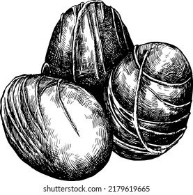 Easter chocolate egg black and white hand drawn sketchy  illustration