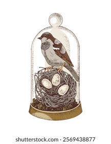 Easter cloche decoration with a bird nest and sparrow