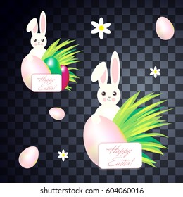 Easter cute bunny set on transparent background