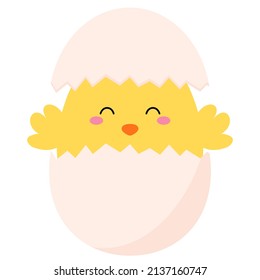 Easter cute chicken in cracked egg. Happy easter. Easter egg chick. Cute easter chicken and egg shell. 