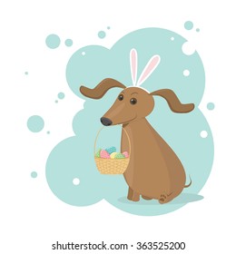 Easter dachshund  in the bunny suit. Vector illustration. Can be used in web design, printed on fabric/paper, as a background, or as an element in a composition, or as easter gift card.