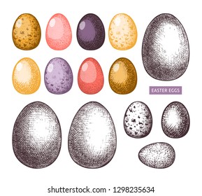 Easter decor collection. Hand drawn quail and chicken eggs illustrations. Vector holiday drawings. Traditional vintage elements set. 