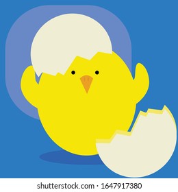 Easter egg cute chick happy