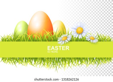 Easter Egg, Green Fresh Grass And Spring Flowers. Vector Banner On Transparent Background