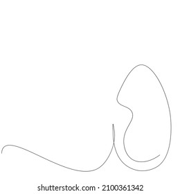 Easter egg line draw vector illustration