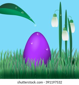 Easter egg with snowdrops on grass. Water droplets on plants and egg