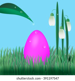 Easter egg with snowdrops on grass. Water droplets on plants and egg