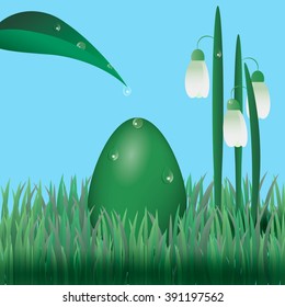 Easter egg with snowdrops on grass. Water droplets on plants and egg