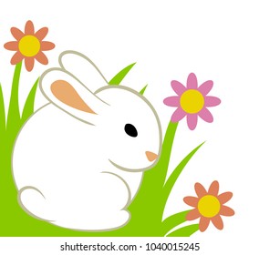 Easter eggs and bunny in grass isolated on white.