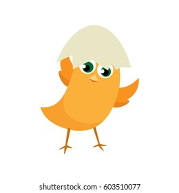 Easter eggs chicks design element. Easter background vector eps10