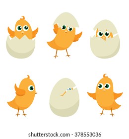 Easter eggs chicks set. Easter background vector eps 10