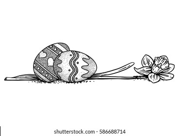 Easter eggs with a daffodil illustration, drawing, engraving, line art, vector