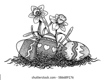 Easter eggs with a daffodil illustration, drawing, engraving, line art, vector