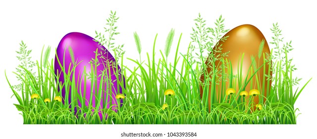 Easter eggs in green grass with dandelions and spikelets on white background