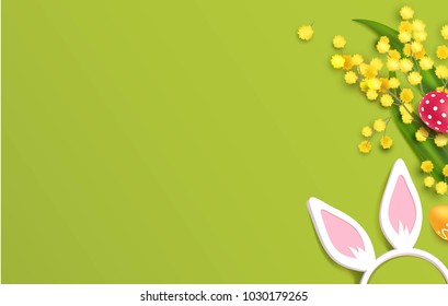 Easter eggs, mimosa branch and bunny ears on green background. Beautiful spring background with place for text. Vector illustration