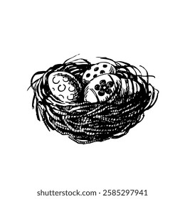 Easter eggs and nest sketch. Hand drawn vintage illustration