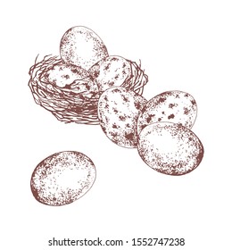 Easter. Eggs in the nest. Vector illustration. Brown outline on a white background.