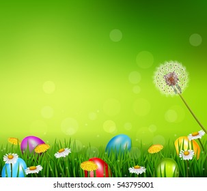 Easter eggs on green grass