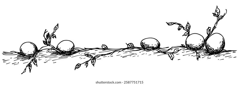 easter eggs with vines on the ground in hand-drawn line art style