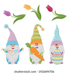 Easter gnomes and spring flowers tulips, cute character, vector illustration