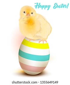Easter greeting card with chicken sitting on egg