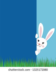 Easter greeting card concept with text cute bunny rabbit looking behind the blue wall on spring grass background. Vector eps10 illustration, flat kawaii style, copy space