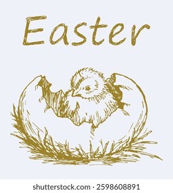 Easter greeting card with one newborn hatched chick in split egg, hand drawn vector illustration
