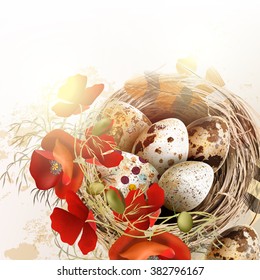 Easter grunge vector background with poppy  flowers bird nest feathers in vintage style