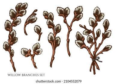 Easter hand drawn vector illustrations collection. Colored willow branches.