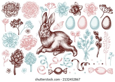 Easter hand drawn vector illustrations collection. Stylized rabbit, eggs, willow branches, candies, shepherd's purse, great orange-tip, anemone, viburnum, hyacinth, peony, forget me not flower