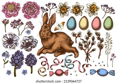 Easter hand drawn vector illustrations collection. Colored rabbit, eggs, willow branches, etc.