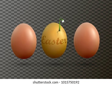 Easter holiday concept, spring beginning idea,  Easter composition with eggs and snowdrop flower sprouting from eggshell  isolated vector,