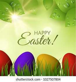 Easter holiday vector background with colorful painted eggs and leaves with morning dew. EPS10