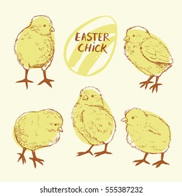 easter little chicken color set