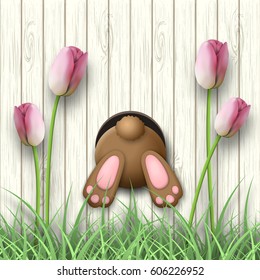 Easter motive, brown bunny bottom, pink tulips and fresh grass on white wooden background, vector illustration, eps 10 with transparency and gradient meshes