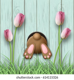 Easter motive, brown bunny bottom, pink tulips and fresh grass on blue wooden background, vector illustration, eps 10 with transparency and gradient meshes