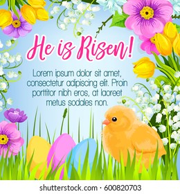 Easter poster and He is Risen design for paschal greetings. Vector Easter eggs and chick in bunch of spring flowers lily, crocuses, daffodils and tulips for Holy Sunday religion holiday