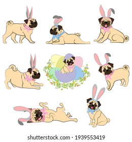 Easter Pug dogs vector illustration on the white background. Vector illustration