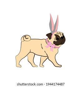 Easter Pug wearing bunny ears vector illustration on the white background. Vector illustration