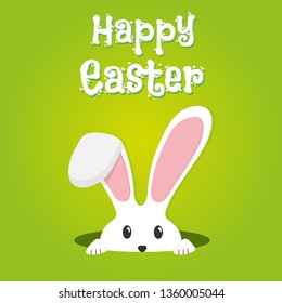 Easter rabbit, easter Bunny