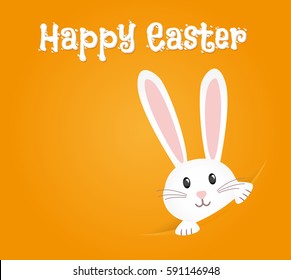 Easter rabbit  easter Bunny